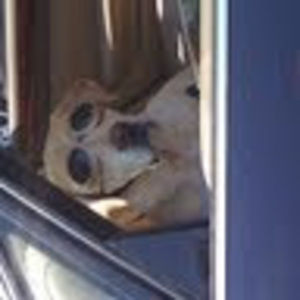 Meet your Posher, Hyunkyu